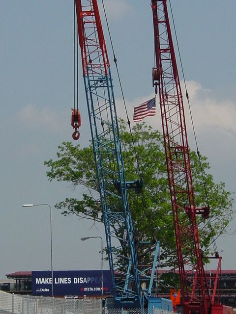Flags on Cranes