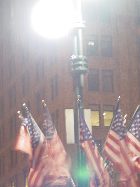 Flags on Vanderbuilt Avenue Light Poles